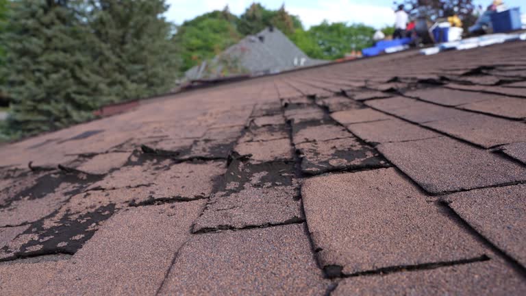 Best Rubber Roofing (EPDM, TPO)  in Nett, MO