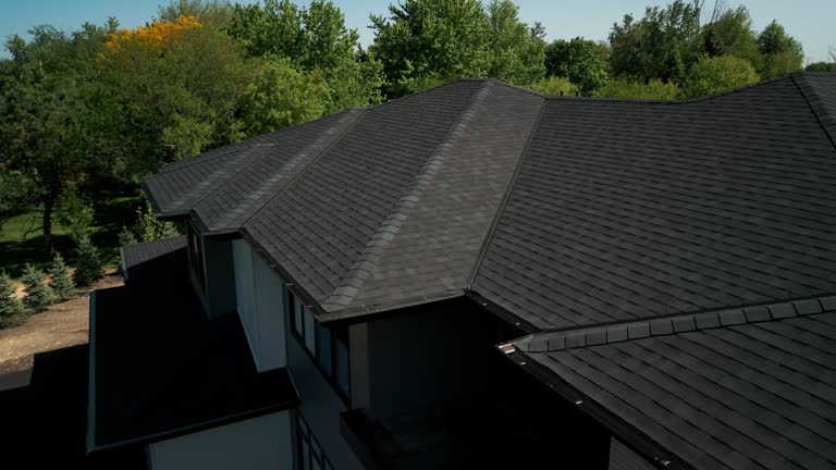 Best Emergency Roof Repair Services  in Nett, MO