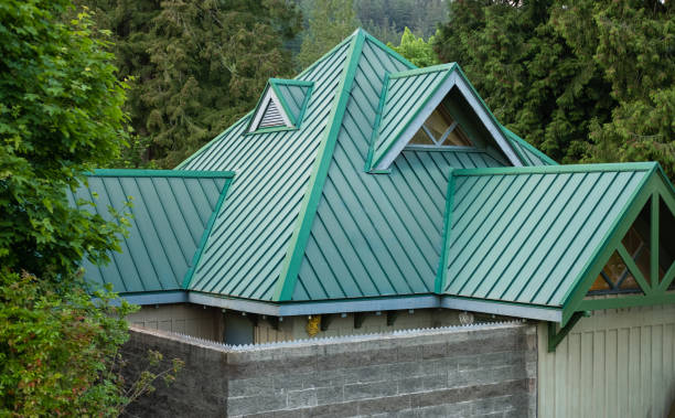 Best Roof Maintenance and Cleaning  in Nett, MO