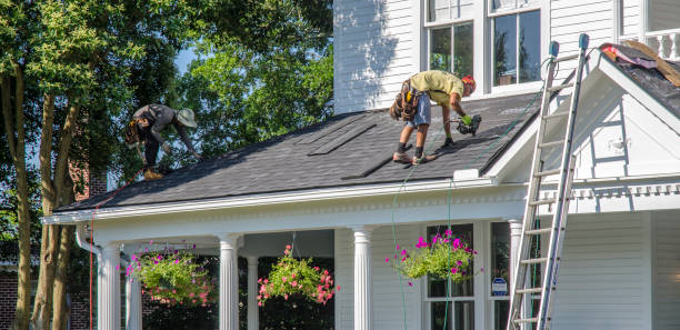Best Roof Insulation Installation  in Nett, MO